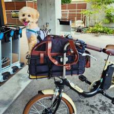 【愛犬のお写真大募集No.5】