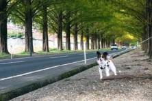 ドライブにおすすめスポット