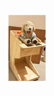 ご好評のワンちゃん用椅子について
