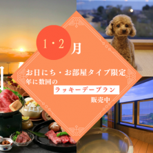 ラッキーデープラン】販売中！！