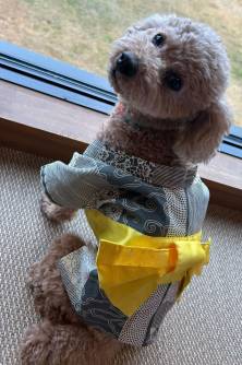 【愛犬のお写真大募集No.15】