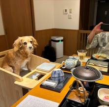 【愛犬のお写真大募集No.18】