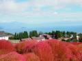 箱館山休業日のお知らせ