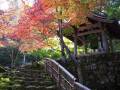 紅葉スポット　～湖東三山　西明寺～