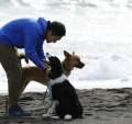 獣医師　徳永先生より「新型コロナウィルスの最新情報（6月2日時点）」「蒸し暑い季節での愛犬愛猫の健康管理」についてお話いただきました。