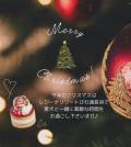 数量限定愛犬用クリスマスケーキ