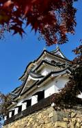 滋賀県の紅葉スポットのご紹介