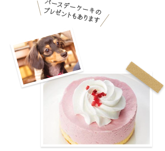 愛犬のお誕生日旅行サービス