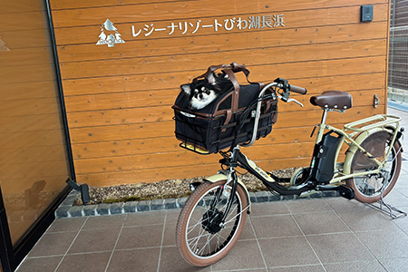 レンタサイクル