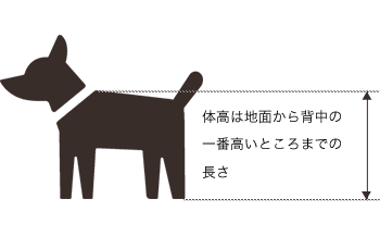 愛犬同伴でご宿泊のお客様