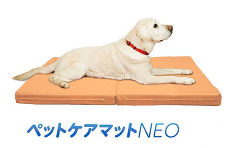イメージ：ペットケアマットNEO