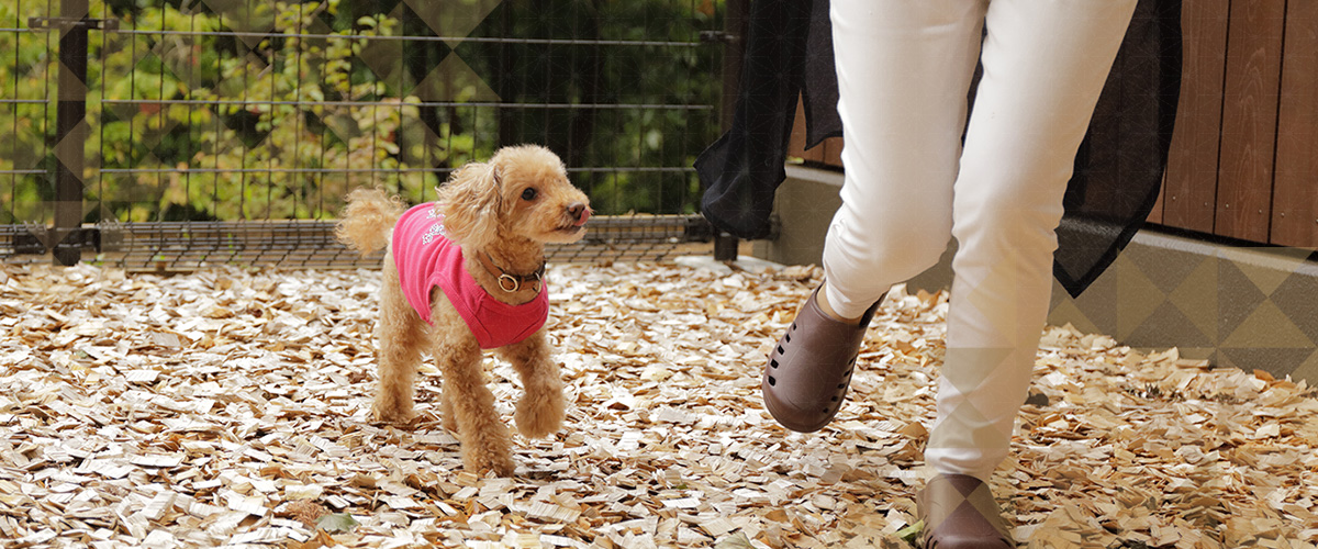 圧倒的な大自然の中で過ごす愛犬とのかけがいのない時間