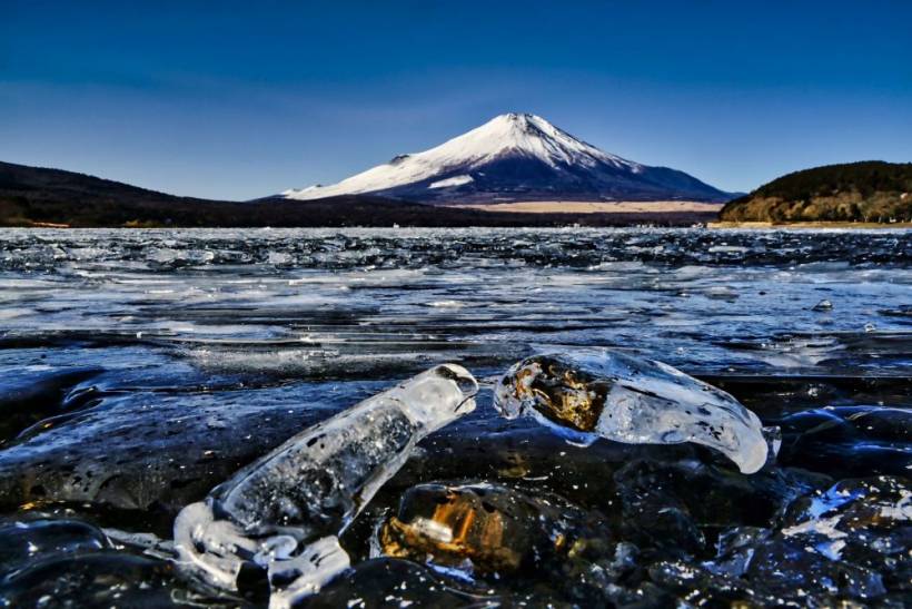 メンテナンスクローズのご案内【2月12日（木）～2月13日（金）】