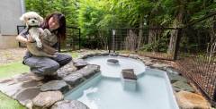 DOG SPA　冬期間営業休止のご案内。