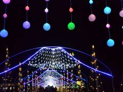 イルミネーション・ファンタジウム　12/1～1/12開催】冬の澄んだ空気に光が灯る…！山中湖の冬を彩るライトアップイベント。  