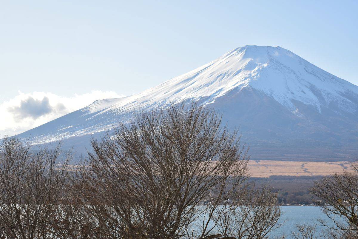 冬期ならではの眺望　2階