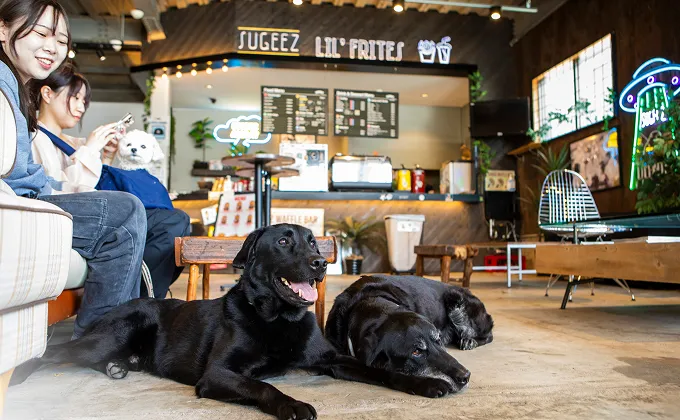 写真：ベランダで愛犬とくつろぐ