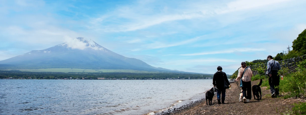 写真：山中湖と富士山