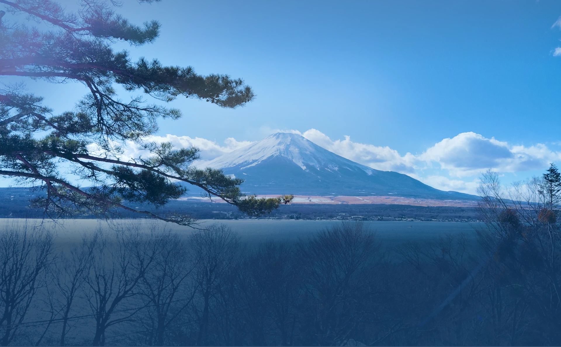 写真：富士山