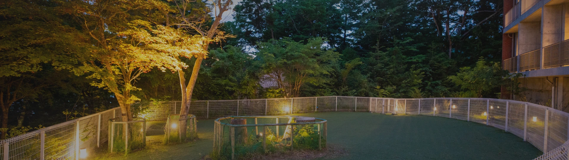 写真：お問い合わせ