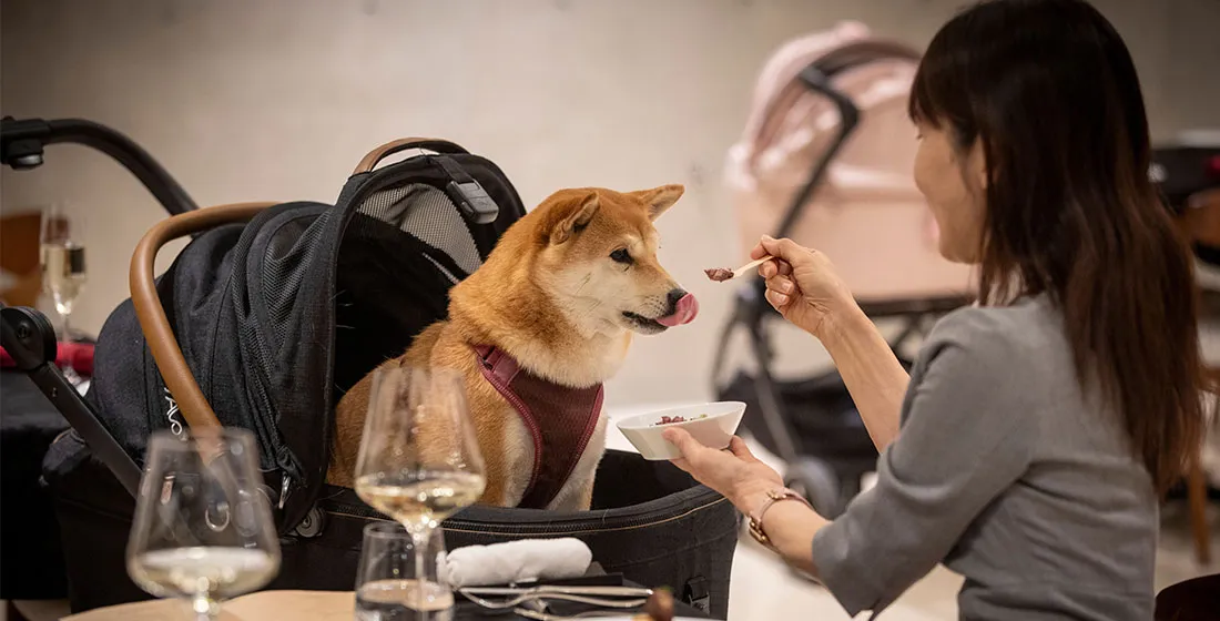 写真:愛犬同伴でお食事