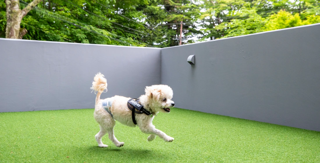 写真:
