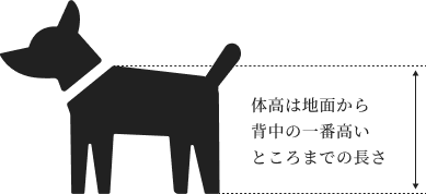 体高は地面から背中の一番高いところまでの長さ