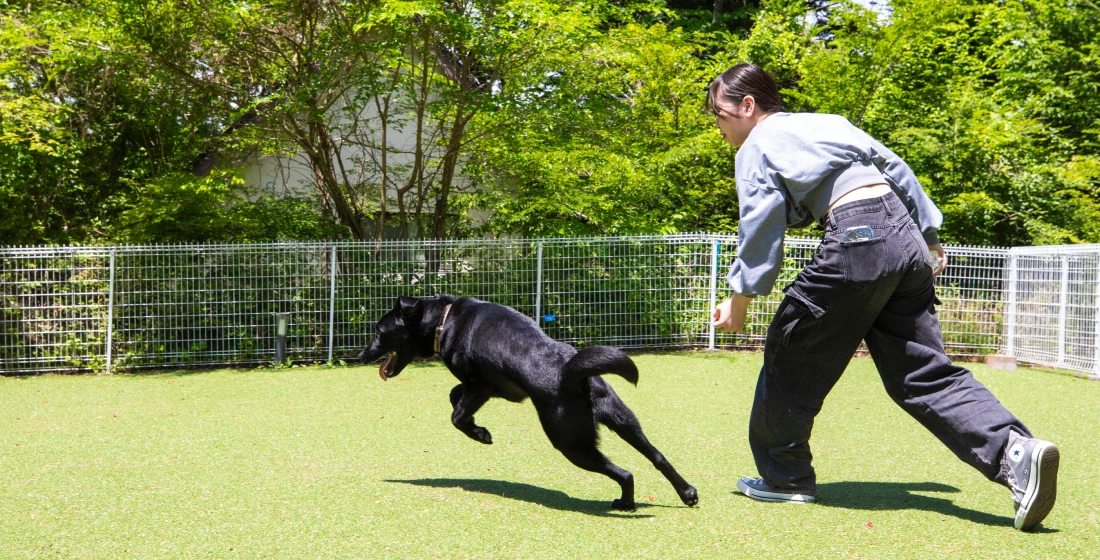 写真:ドッグラン