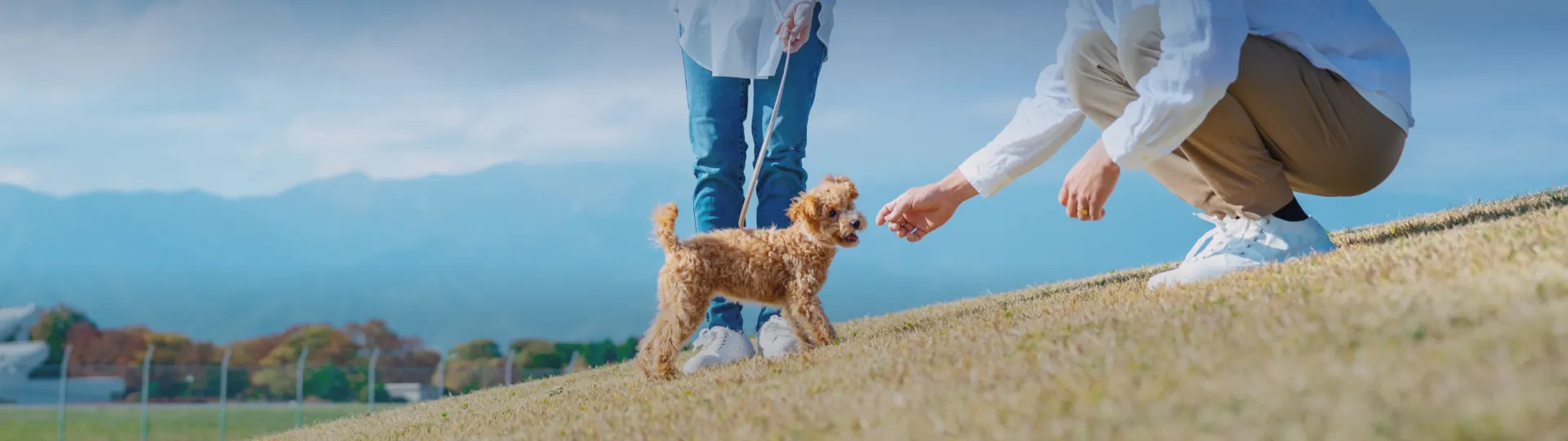 写真：愛犬と一緒