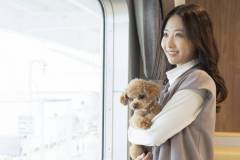 愛犬と船旅応援キャンペーン！　