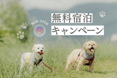 【Instagram】フォロー&コメントで豪華プレゼントが当たるキャンペーン！