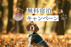 【Instagram】フォロー&コメントで豪華プレゼントが当たるキャンペーン第2弾！