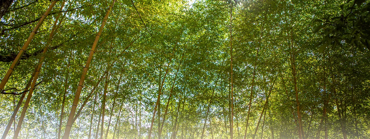 写真：外観