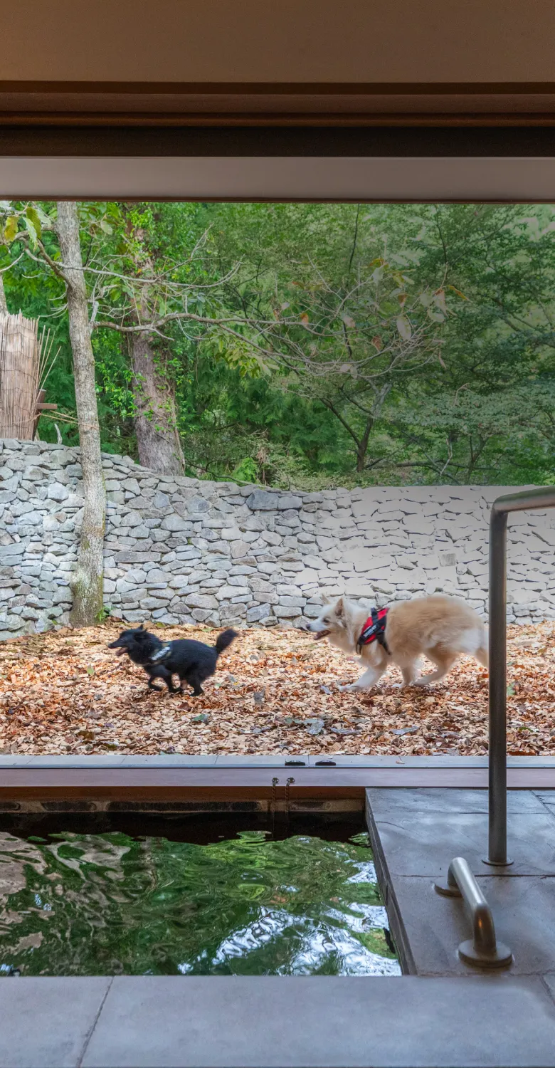 写真：愛犬