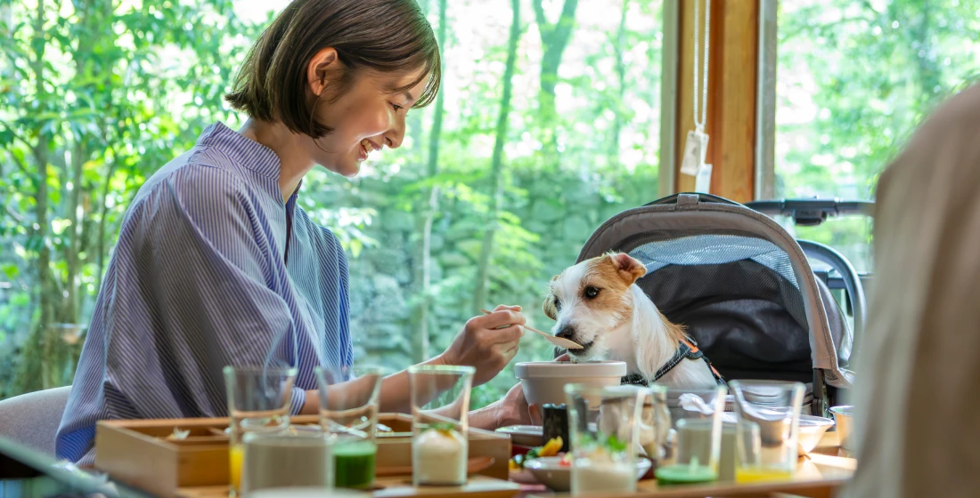 写真:愛犬同伴でお食事