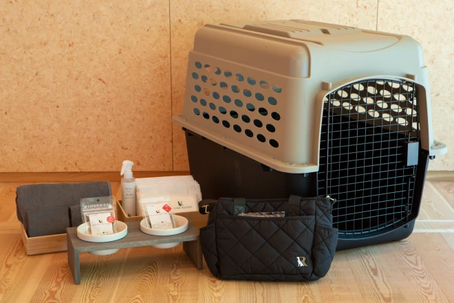 写真:愛犬のためのご用意