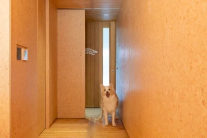画像:飛出し防止扉