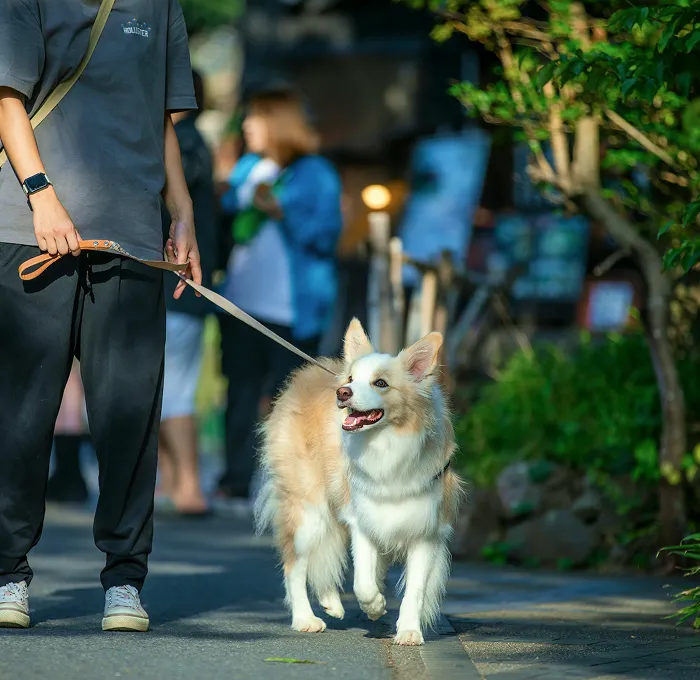 写真:愛犬と遊ぶ男性