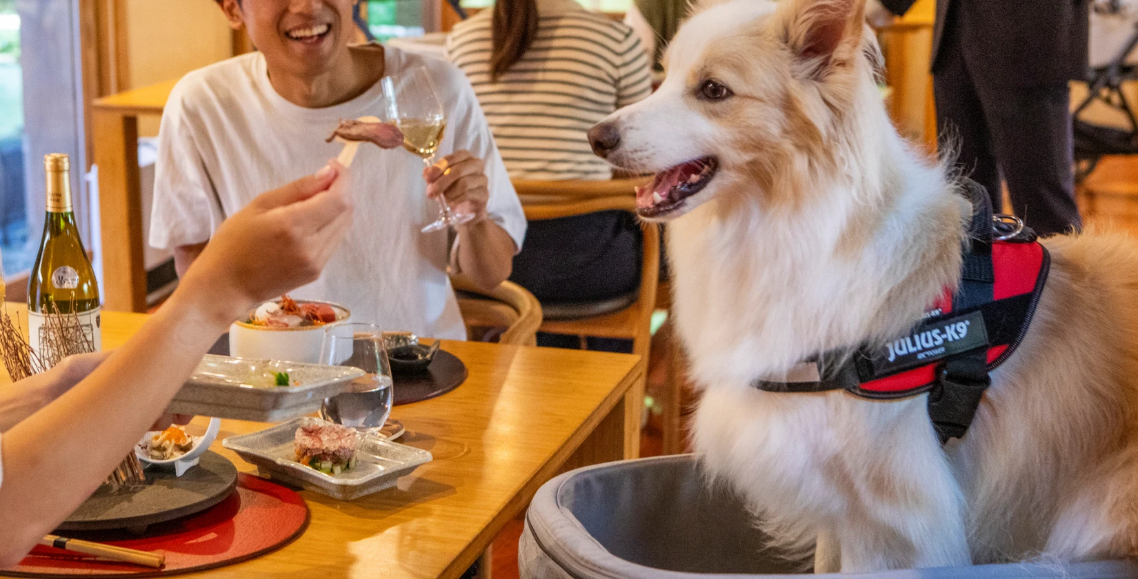 写真:愛犬同伴でお食事