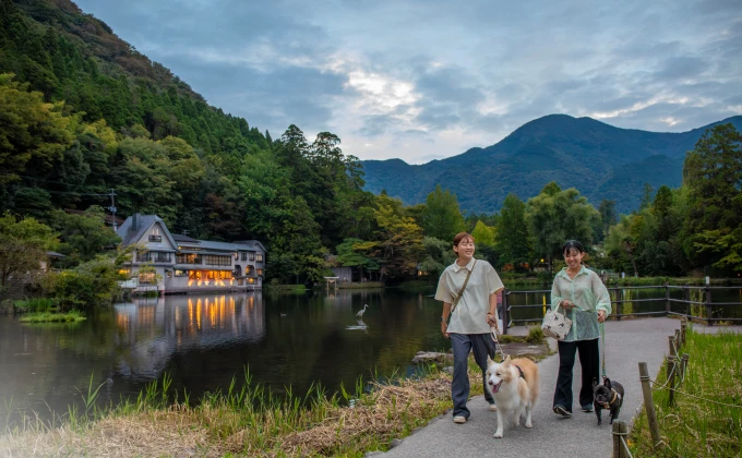 写真：愛犬